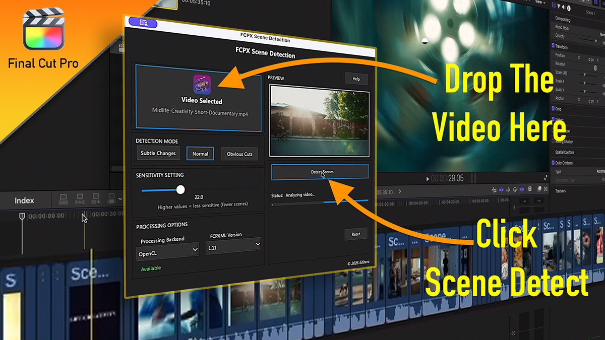 Scene detector preview 1